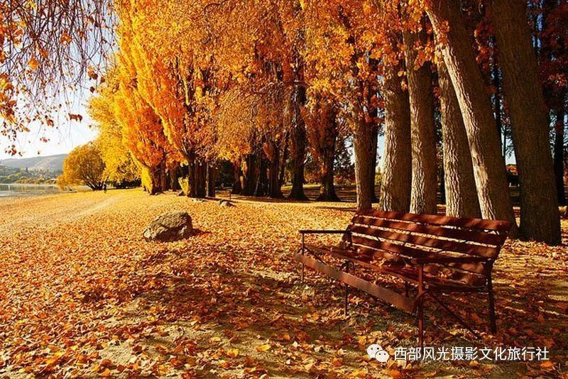救援小老鼠